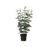 DECORIS Eukalyptus Kuntspflanze 25x54cm gn 899792