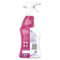 Sagrotan Allzweckreiniger 3129278 750ml