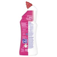 Sagrotan WC-Reiniger Blütenfrische 3261028 750ml