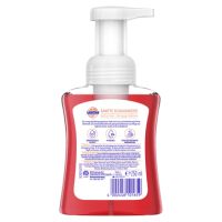 Sagrotan Schaumseife Kirschblüte & Rose 3167268 250ml