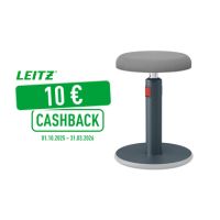 Leitz Sitz- Stehhocker Ergo Cosy 65180089 grau