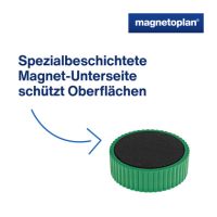 magnetoplan Magnet Discofix Magnum 1660005 34mm grün 10 Stück