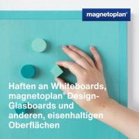 magnetoplan Magnet Wood Series Circle 16654810 30mm sort 8St