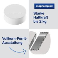 magnetoplan Magnet Ergo Large 1665000 34mm weiß 10 Stück