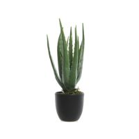 DECORIS 800789 DECORIS Kunstpflanze Aloe Vera im Topf