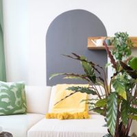 Korbmarante Calathea Wavestar 27cm