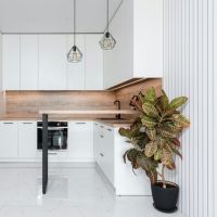 Codiaeum Iceton XXL 31cm