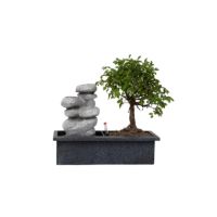 Bonsai Wasserfall-Set Stones 29cm
