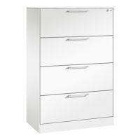C+P 146023412S10193 C+P Hängeregistraturschrank Asisto A4 2bahnig rws/rws