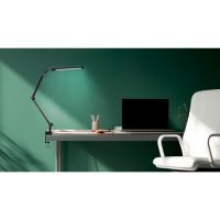 Hansa 41-5011.010 Hansa Klemmleuchte Ray Flex sw