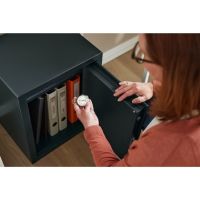 BURG-WÄCHTER 49310 BURG-WÄCHTER Möbeltresor Expert-Safe EXS 320 E sw