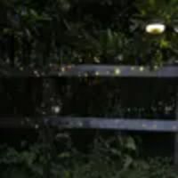 LUMINEO 890510 LUMINEO Solar Strangbeleuchtung